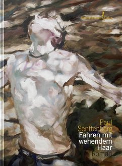 Fahren mit wehendem Haar (eBook, ePUB) - Senftenberg, Paul
