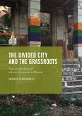 The Divided City and the Grassroots (eBook, PDF)