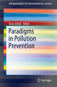 Paradigms in Pollution Prevention (eBook, PDF)