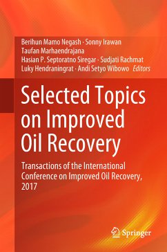 Selected Topics on Improved Oil Recovery (eBook, PDF)