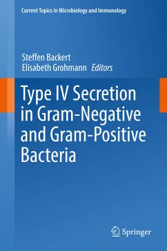 Type IV Secretion in Gram-Negative and Gram-Positive Bacteria (eBook, PDF)