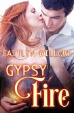 Gypsy Fire (eBook, ePUB)