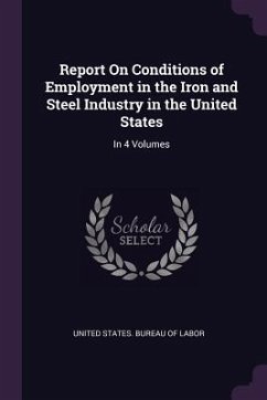 Report On Conditions of Employment in the Iron and Steel Industry in the United States