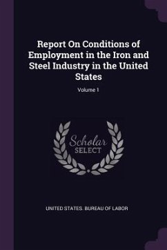 Report On Conditions of Employment in the Iron and Steel Industry in the United States; Volume 1