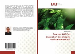 Analyse SWOT et Evaluation des impacts environnementaux - Lahmini, ISMAIL