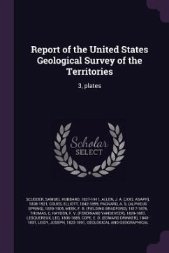 Report of the United States Geological Survey of the Territories - Scudder, Samuel Hubbard; Allen, J A; Coues, Elliott