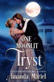 One Moonlit Tryst (eBook, ePUB)