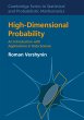 High-Dimensional Probability - Bild 1