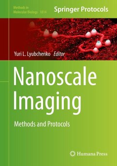 Cover Nanoscale Imaging