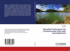 Remedial Techniques for Contaminated Lake Soils and Sediments