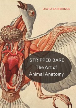 Stripped Bare - Bainbridge, David