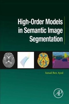High-Order Models in Semantic Image Segmentation - Ben Ayed, Ismail