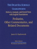 The Dead Sea Scrolls, Volume 6b: Pesharim, Other Commentaries, and Related Documents