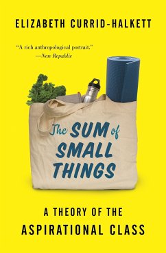 The Sum of Small Things - Currid-Halkett, Elizabeth