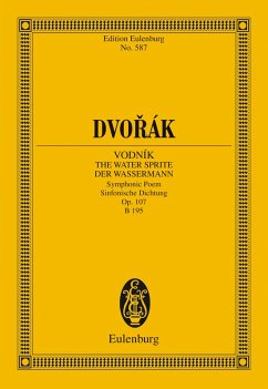 Cover Vodník - The Watersprite (eBook, PDF)