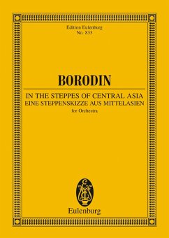 In the Steppes of Central Asia (eBook, PDF) - Borodin, Alexander