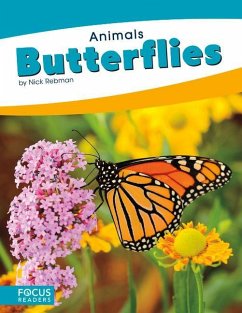 Butterflies - Rebman, Nick