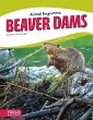 Beaver Dams - Bild 1