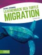 Leatherback Sea Turtle Migration - Bild 1