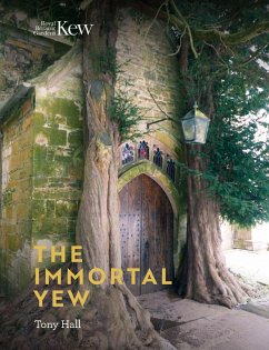 Immortal Yew, The - Hall, Tony