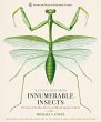Innumerable Insects - Bild 1