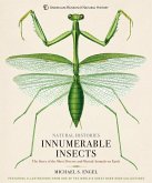 Innumerable Insects