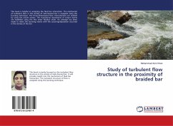 Study of turbulent flow structure in the proximity of braided bar