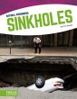 Sinkholes - Bild 1