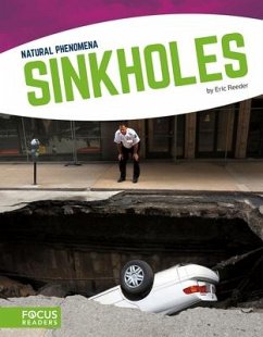 Sinkholes - Reeder, Eric