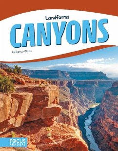 Canyons - Olson, Sonja