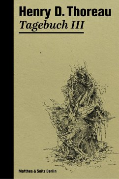 Tagebuch III (eBook, ePUB) - Thoreau, Henry David