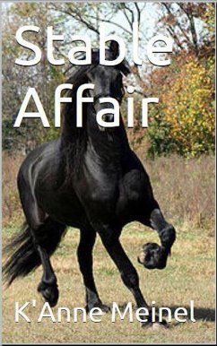 Cover Stable Affair (eBook, ePUB)