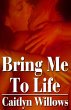 Bring Me to Life (eBook, ePUB) - Bild 1
