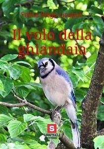 Il volo della ghiandaia (eBook, ePUB) - Diego Licopoli, Felice