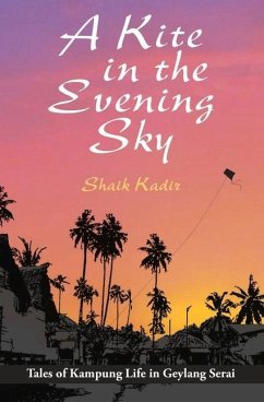 A Kite in the Evening Sky - Kadir, Shaik