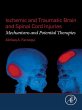 Ischemic and Traumatic Brain and Spinal... - Bild 1