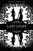 Last Light (Undertow, #4) (eBook, ePUB)