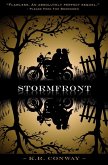 Stormfront (Undertow, #2) (eBook, ePUB)