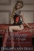 Taming the Angel (Gunslingers & Garters, #2) (eBook, ePUB) Taming the Angel (Gunslingers & Garters, #2) (eBook, ePUB)