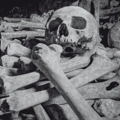 Necros Obscuritas - Encoffination