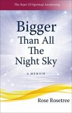 Bigger than All the Night Sky (eBook, ePUB)