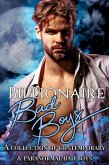 Billionaire Bad Boys (eBook, ePUB)