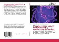 Streptococcus uberis: Identificación y producción de biofilm