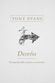 Desvios/Detours (eBook, ePUB)