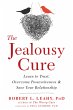 Jealousy Cure (eBook, ePUB) - Bild 1