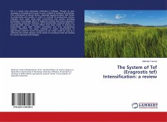 The System of Tef (Eragrostis tef) Intensification: a review