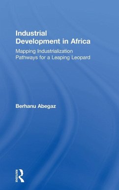 Industrial Development in Africa - Abegaz, Berhanu