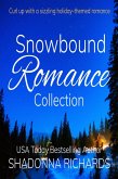 Snowbound Romance Collection (Snowbound Billionaire Romance Collection, #1) (eBook, ePUB)