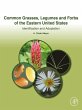Common Grasses, Legumes and Forbs of... - Bild 1