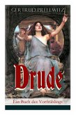 Drude - Ein Buch des Vorfrühlings: Der neuen Jugend gewidmet (Ein phantastischer Roman)
